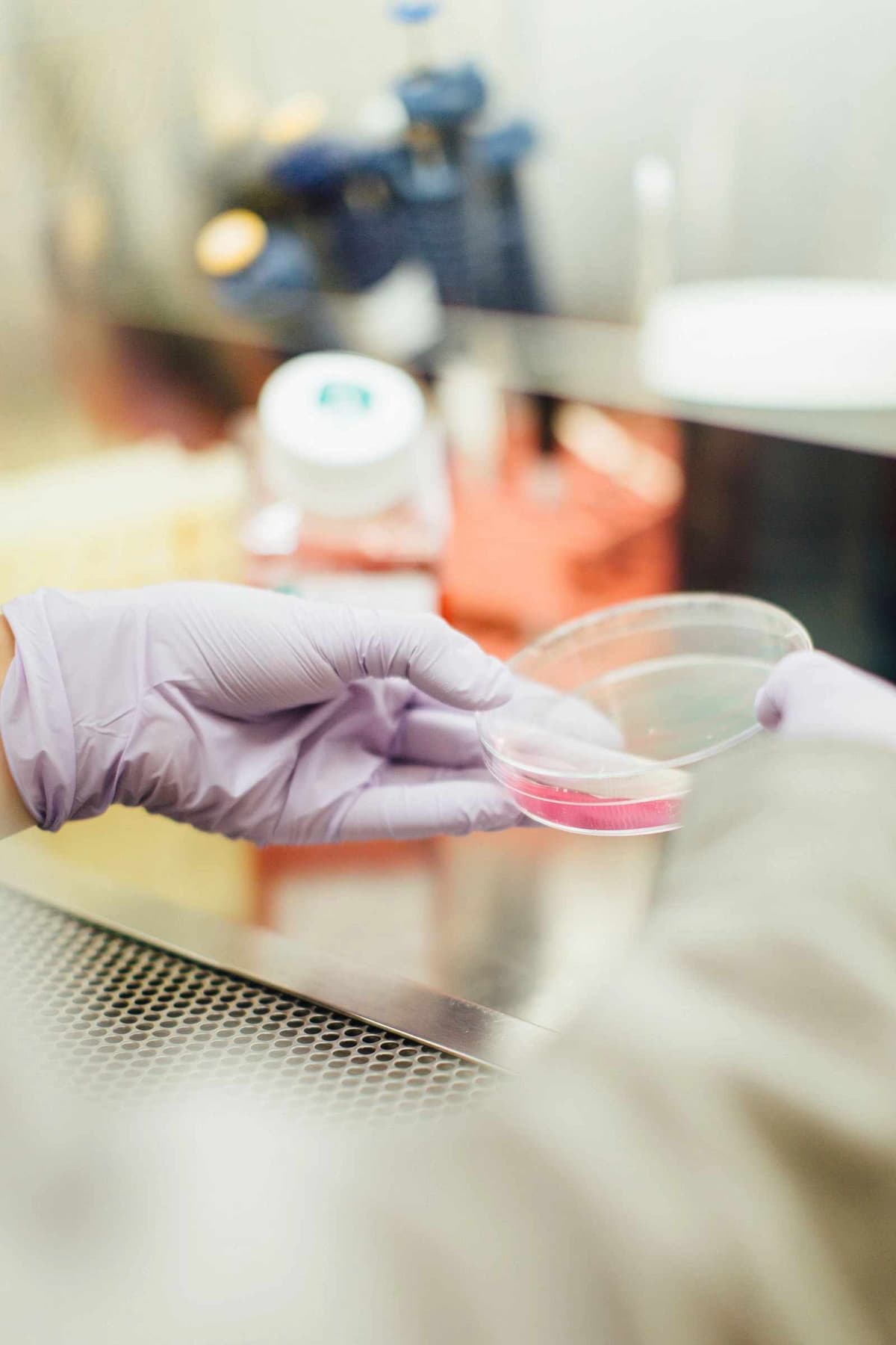 Lab technician holding a Petri dish